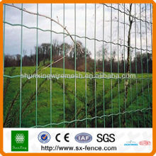 Anping High Quality PVC Coated Holland Fence with Low Price